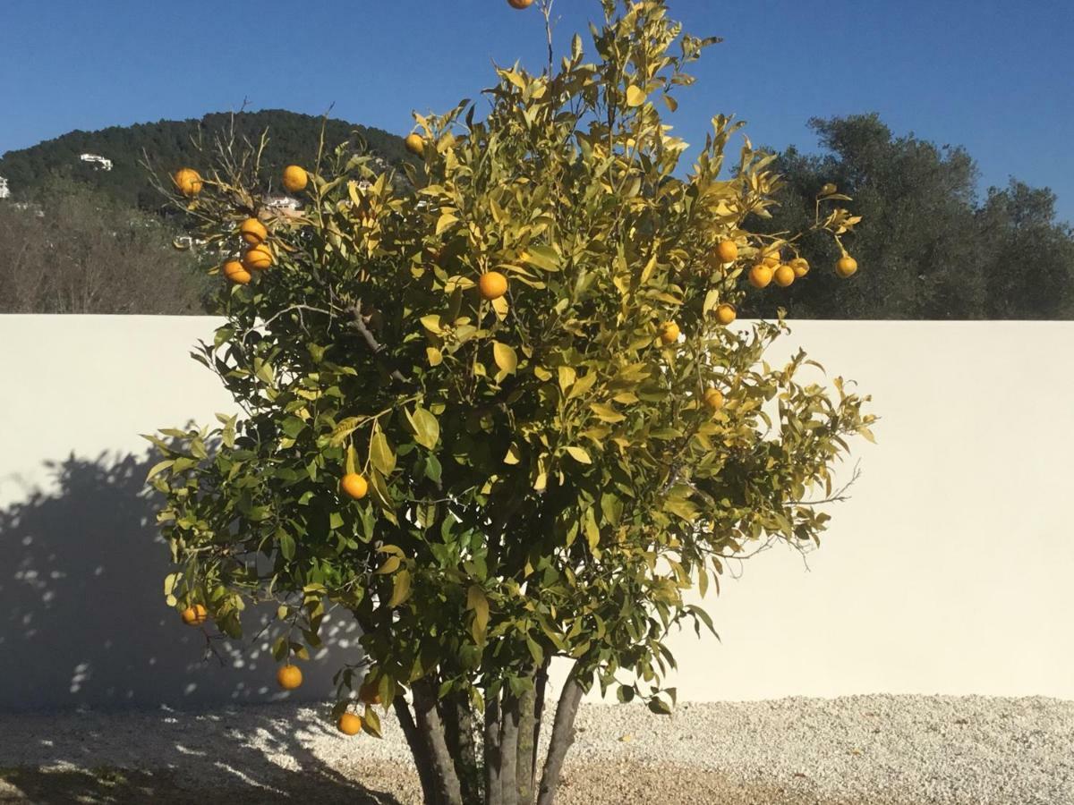 Casita In Javea With Garden And Pool - Dog Friendly! Exterior photo